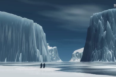 Antarctica Penguin Wallpapers   Wallpaper.