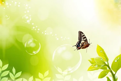 Widescreen Landscape Design Wallpapers Wallpapers   HD Wallpapers ...