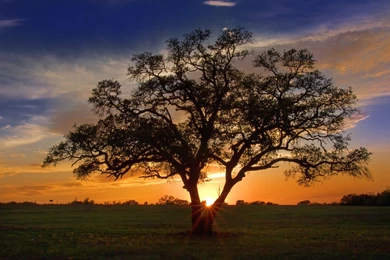 A_little_texas_color 1920x1200.jpg