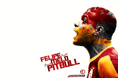 DeviantArt: More Like Felipe Melo Wallpapers 2015 By Elifodul