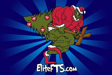 Desktop Wallpapers / Elite FTS