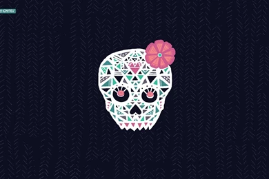 Free Skull Wallpapers For Desktop   Wallpapers Cave