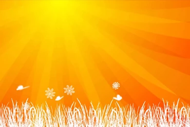Orange Sun Backgrounds Animation HD   YouTube
