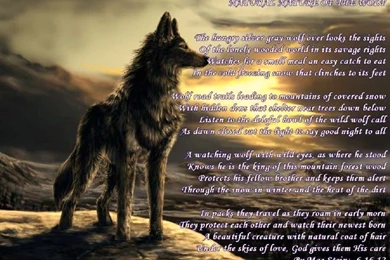 Dogs: Lone Wolf Wolves Animals Nature Wild Walking Sun Image ...