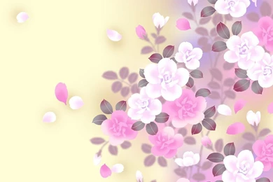 Flower Design Wallpapers   Wallpapers HD Wide