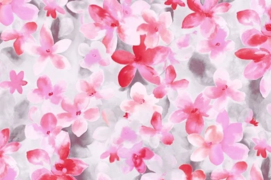 Flower Illustrations Design   Flower Patterns   Flower Paintings ...