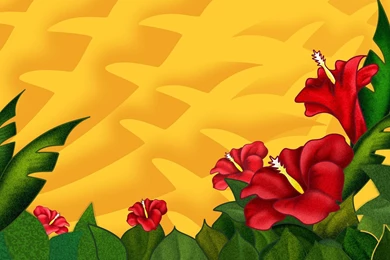 Digital Floral Illustration : Floral Design , Flower Graphics ...