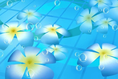 Digital Floral Illustration : Floral Design , Flower Graphics ...