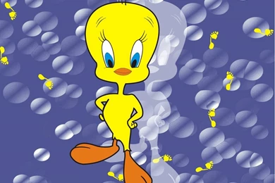 Tweety Cartoon Wallpapers Desktop Funny Strange Picture, Tweety ...