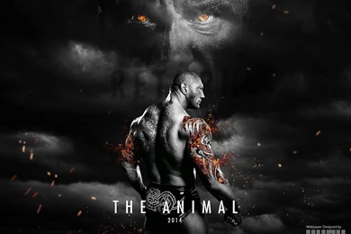 KupyWrestlingWallpapers.INFO – The Newest Wrestling Wallpapers On ...