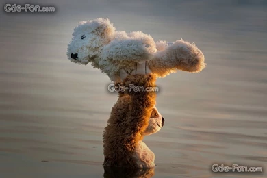 632327_dirty dancing_plyushevyie mishki_medvedi_tanets_po_1920x1280_www.Gde Fon.com.jpg