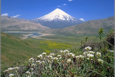 Download Iran Tehran Wallpapers 800x600