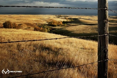 1280x1024px Amazing Realtree Wallpapers