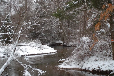 Post Up Your Good Desktop Wallpapers! [Archive]   ArcheryTalk ...