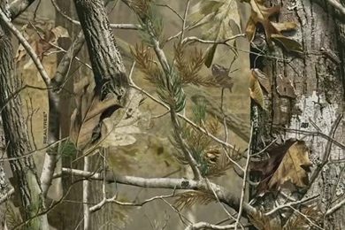 Image Detail For  Realtree Camo Graphics, Pictures, & Images For ...