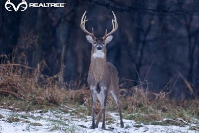 Noah Green   Google+