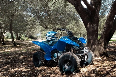 Pic New Posts: Hd Realtree Wallpapers