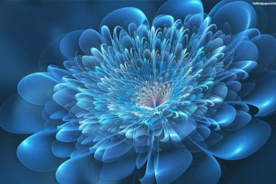 Blue Flowers Wallpapers   HD Wallpapers Pretty