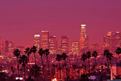Beauty Of Los Angeles Wallpapers