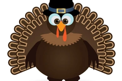 Thanksgiving Turkey Galaxy S2 Wallpapers (960x800)