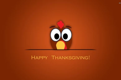 Surprised Thanksgiving Turkey Wallpapers   Holiday Wallpapers