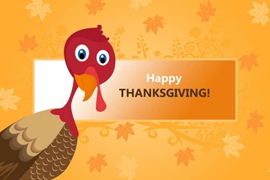 Curious Thanksgiving Turkey Wallpapers   Holiday Wallpapers