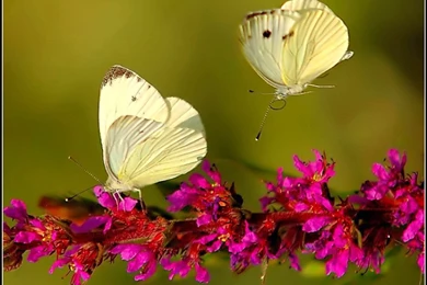 2015 09 22   Page 152