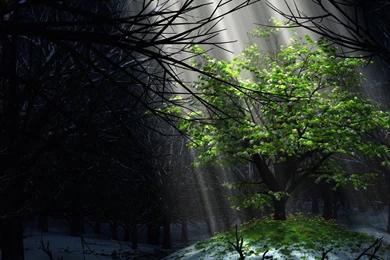 Digital Blasphemy Free Wallpapers   765003