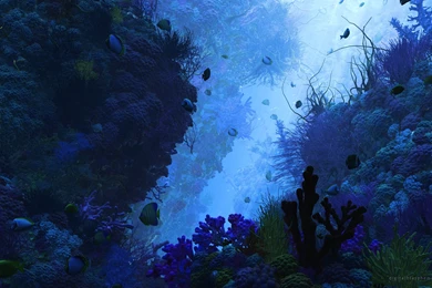 Blasphemy Digital HD Wallpapers