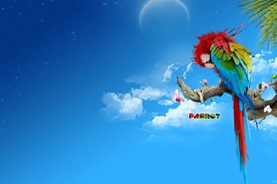 Download Full Animals Birds Clouds Palm Leafs Parrots Wallpapers ...