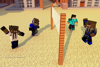 Animated Picture: Animated Beach Ball Minecraft