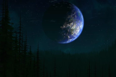 Digital Blasphemy Arboreal, 1920x1200 HD Wallpapers And FREE Stock ...