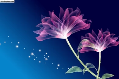 Digital Blasphemy   Digital HD Photos