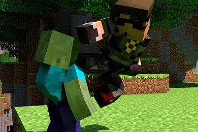 Gallery For   Minecraft Animated Pictures