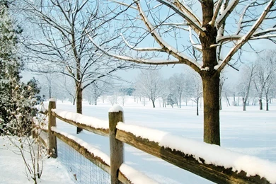 Winter Scene Wallpapers   655308