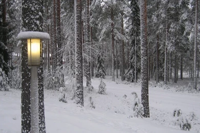 Winter Scene HD Wallpapers