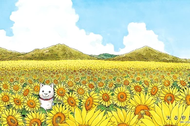 Most Beautiful Flowers Wallpapers   Imgur