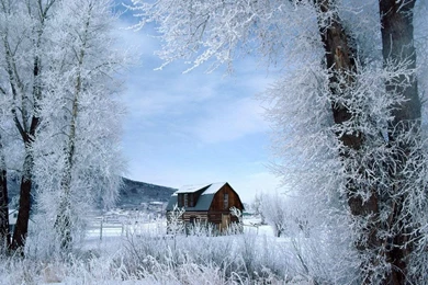 Winter Scenes Wallpapers   Crazy Frankenstein