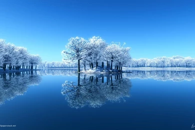 Beautiful Pictures Winter Scene Backgrounds Wallpapers Hd