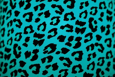 Leopard Print Wallpapers   Best Car 2015