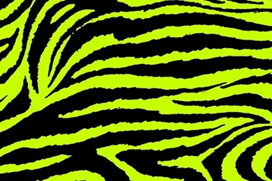 Pic > Colorful Zebra And Cheetah Print