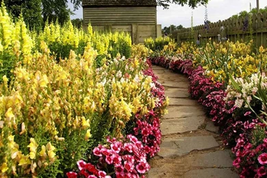 Beautiful Flowers Road Photo Wallpapers