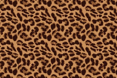 Cheetah Print Wallpapers Leopard Print Ipad Backgrounds