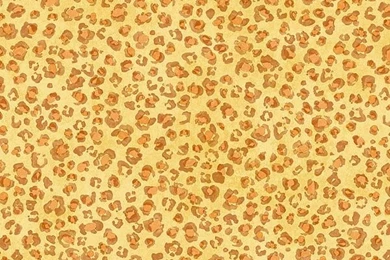 Paloreadro: Zebra Print Wallpapers