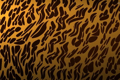Animal Print Wallpapers   Digital Art Wallpapers