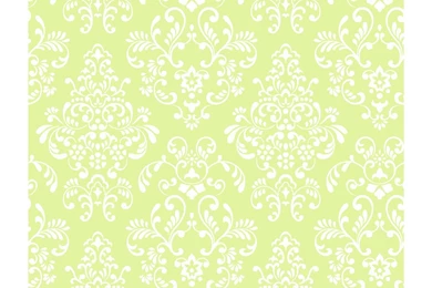 Amazon.com: York Wallcoverings Just Kids KD1755 Delicate Document ...