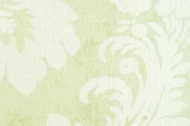 Argentina Damask Textured Wallpapers Light Green