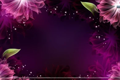 Beautiful Flowers Backgrounds