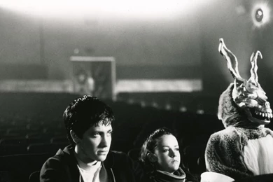 Donnie Darko Jake Gyllenhaal Jena Malone Wallpapers   (