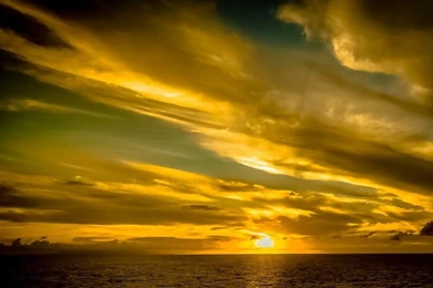 Free Photo: Background, Beautiful, Beauty   Free Image On Pixabay ...